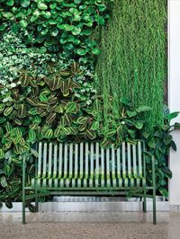 Explore the @greenworks_sweden Indoor Vertical Garden at Biomedicum – a living masterpiece. Elevate your interior with this vibrant and sustainable design. #Walldecoration #Soundabsorption #LivingGreenwalls #Livingplants #Naturalmaterial #ArchitonicProductPick #InteriorInspiration #ContemporaryInteriors