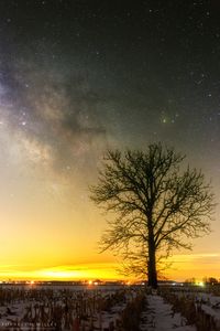 Rho Ophiuchi Region Behind a Shagbark Hickory - The skies cleared after an early spring winter storm in Southern Indiana.  It was cold and windy, but I made my way over to a local farm to grab this shot of the Rho Ophiuchi region and part of the milky way's galactic center behind a relatively small shagbark hickory.