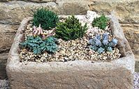 BBC - Gardening - Gardening Guides - Techniques - Make a mini alpine garden