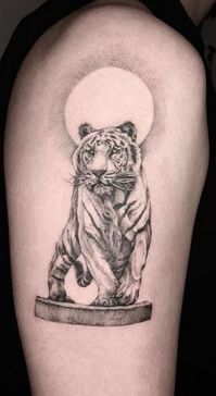 <<Check out more white tiger tattoos #tattoomenow #tattooideas #tattoodesigns #tattoos #whitetiger #tiger