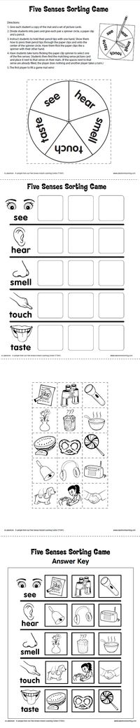 Five Senses Sorting Game from Lakeshore Learning: Children spin and match in a fun game that teaches them about the five senses!