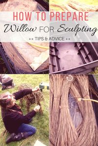 Handy TIPS and advice on how to prepare willow for SCULPTING, equipment needed and WHERE to buy your willow from