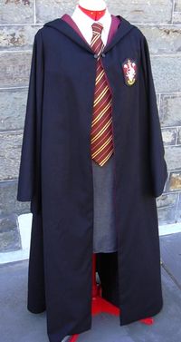 The young one has confirmed that he wants to be Harry Potter for Halloween.