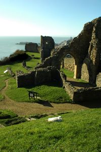 Hastings Castle, Sussex, UK    Built by William of Normandy from 1067