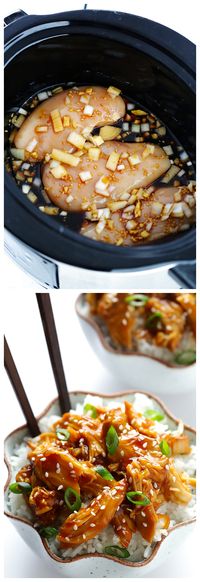 Slow Cooker Teriyaki Chicken