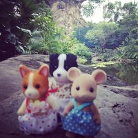 Emma Bradley sent in this #SylvanianSummer entry showing her Sylvanians in Animal Kingdom