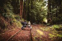 You Can Pedal Through California's Redwood Forest On A Railbike, And The Trip Looks Absolutely Stunning | Bored Panda