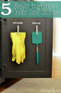 Frugal Ideas to Help You Organize The Cabinet Under the Kitchen SInk  Kitchen Organization Ideas | Under Sink Organization