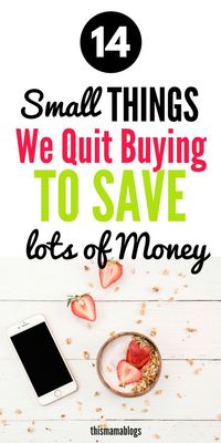 Here are 14 things we don't buy to save money and survive on a low, single income. #savemoney #moneysavingchallenge #howtosavemoney #personalfinance #financialfreedom