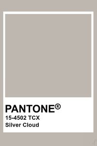 Pantone Silver Cloud