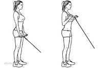 Standing Bicep Cable Curls | Illustrated Exercise guide - WorkoutLabs