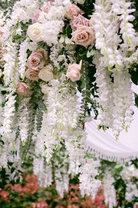 A detailed look at this large chuppah we designed in the garden at Bella Luna venue in Seattle, with white cascading floral and hundreds of pink and white roses it was truly unforgettable.