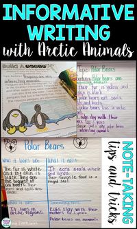 Teaching Informative Writing With Arctic Animals - Missing Tooth Grins