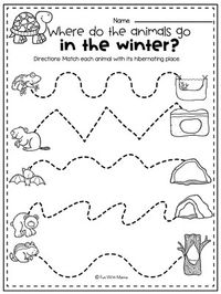 This hibernation worksheet incorporates which animals hibernate and where they hibernate.