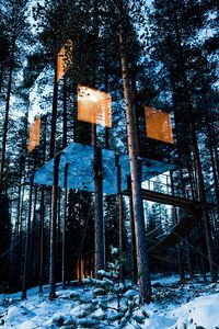 Tree Hotel in North Sweden with mirror exterior to blend with nature. Amazing Idea!