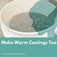 Worm Castings Tea Will Give Your Plants a Lift