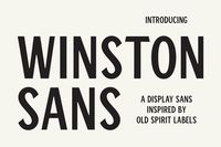 Winston Sans Typeface | Sans Serif Fonts ~ Creative Market