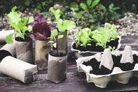 Reviewed by Mary Marlowe Leverette The is no shortage of gardening hacks online. If taken seriously, these hacks supposedly perform miracles in feeding your plants (banana water or sugar water anyone?), getting rid of pests, or halting weeds. But often, these homemade concoctions do more harm than good. However, there are gardening hacks that do wo...