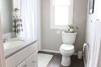 collonade gray sherwin williams is the perfect gray paint colour with a greige undertone. Shown in this bathroom with wood look floor