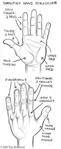 basic drawing techniques - Google Search More