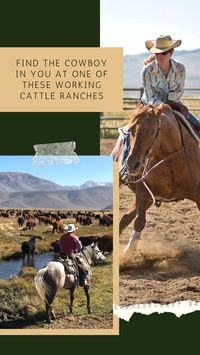 Experience the Cowboy Way at one of these Working Cattle Ranches