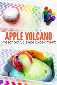 Setting up an apple volcano science experiment for preschoolers is a great way to engage them in an awesome STEM activity this fall!