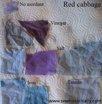 Red cabbage – dye samples | Sew historically