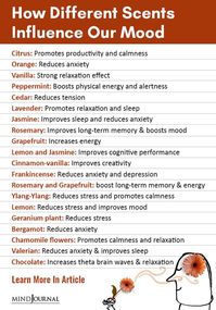 Olfaction or our sense of smell can not only trigger our mood and behavior,, but also influence our memories, emotions & cognition as well. How smell affects our mood, #creativity #emotion #memory #relaxation #stress #lifehacks