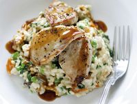 This partridge risotto recipe is the perfect way to use frozen partridge breasts and can be created in under 30 minutes. It's quick and simple too.