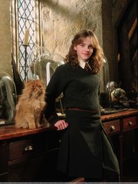 hermione granger - Google Search