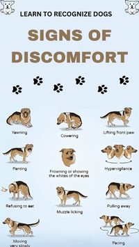 learn to recognize dogs