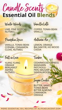 If you need essential oil blends for candles, use this infographic with some of the best candle scents! Homemade essential oil candles are an easy diffuser alternative to make your home smell good naturally, and these aromatherapy blends will elevate your candle making recipes. Learn how to make DIY candles in natural fragrances such as Winter Woods, Autumn Air, and a Sugar Cookie candle recipe with essential oils like vanilla, almond and tonka bean.