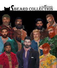 PettyPawn - Beard Collection | Patreon