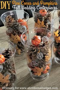 If you're planning a fall wedding, you need to make these DIY Pine Cones And Pumpkins Fall Wedding Centerpieces. Find out how on www.abrideonabudget.com.