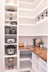 34 Best Kitchen Appliance Storage Ideas