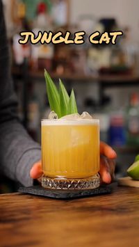 •45ml/1½oz Gin •23ml¾oz Orange Liqueur  •45ml/1½oz Pineapple Juice •15ml/½oz Freshly Squeezed Lime •15ml/½oz Maple syrup ~👑~ The Jungle Cat is a delicious and refreshing beverage that features a combination of orange liqueur (you can opt for a sweet or bitter orange liqueur), lime juice, maple syrup, gin and pineapple juice. Together, these ingredients create a perfectly balanced taste experience that is both complex and sophisticated. Give a try and let me know what you think ☺️ ~👑~ "SAVE 💾 COMMENT 📝 LIKE ♥️ SHARE"