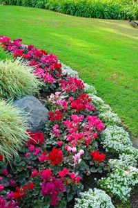 Mixed Florals Bed