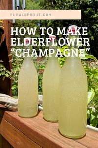 A glass of bubbly elderflower champagne is the perfect way to welcome in summer. Here's how to make it.