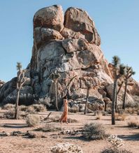 Here is the best way to plan your Joshua Tree Day Trip with itineraries, maps, photos, and how to budget your time.