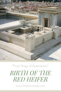 In late August a red heifer was born in Israel and marked a significant turning point for efforts surrounding the rebuilding of the Jewish temple, paving the way for rituals and sacrifices in Israel again after more than 2,000 years.