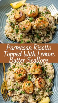 Parmesan Risotto Topped With Lemon Butter Scallops Recipe | Cheff Recipes