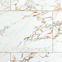 https://i8.amplience.net/i/flooranddecor/100937184_monaco-polished-porcelain-tile_display?fmt=auto&qlt=85