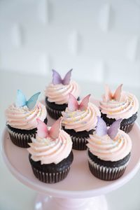 Butterfly Themed Chocolate Cupcakes with Pink Frosting and Rainbow Sprinkles.