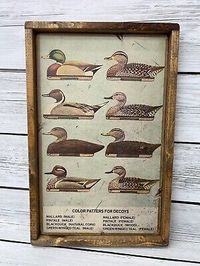 Great Shopping Rustic Style Duck Decoys Color Patters Wooden Sign Home Decor Framed - 15x24 for Timeless Elegance and Durability., Top Home Decor