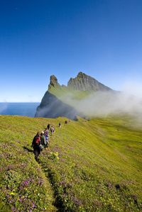 West Tours: Hornvik - Hike to the King and Queen of Cliffs. - See 63 traveler reviews, 79 candid photos, and great deals for Isafjordur, Iceland, at TripAdvisor.