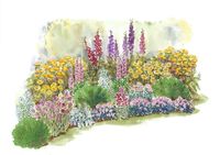 This Summer Cottage Garden Plan Overflows with Color