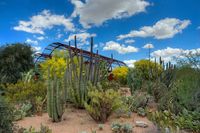 7 outdoor experiences you can only have in Phoenix