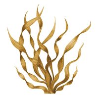 Brown seaweed isolated on white. waterco... | Premium Photo #Freepik #photo #algae #seaweed #nature-leaf #cartoon-plant