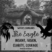 The Eagle  Willow Witchcraft