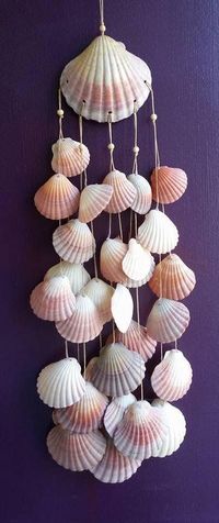 18 Shell art Pins you might like